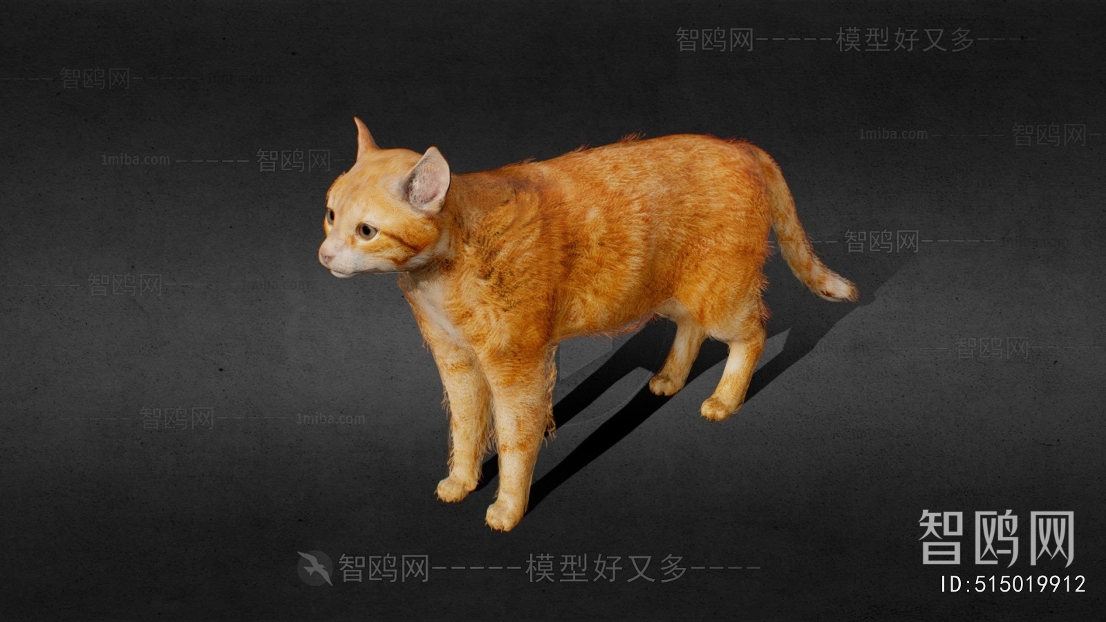 Modern Animal Cat