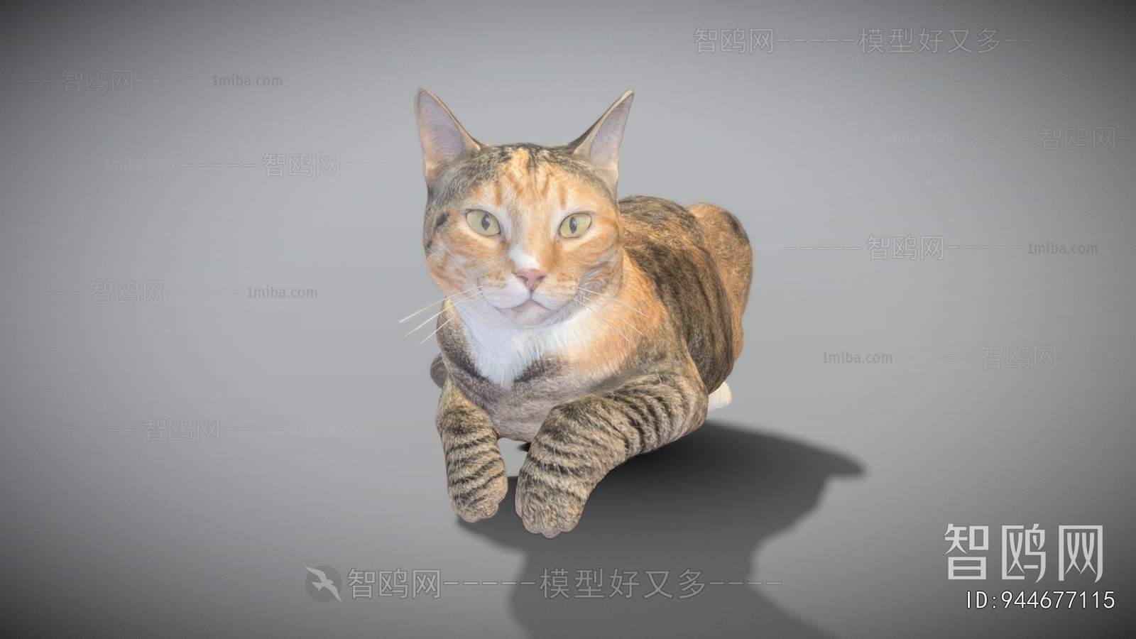 Modern Animal Cat