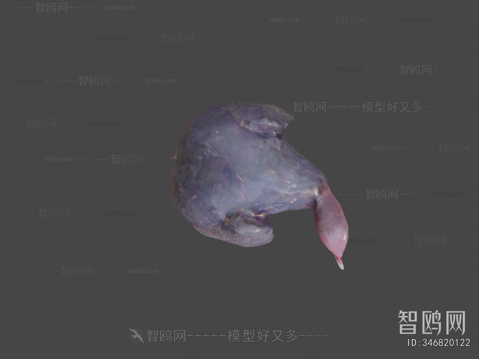 Modern Animal