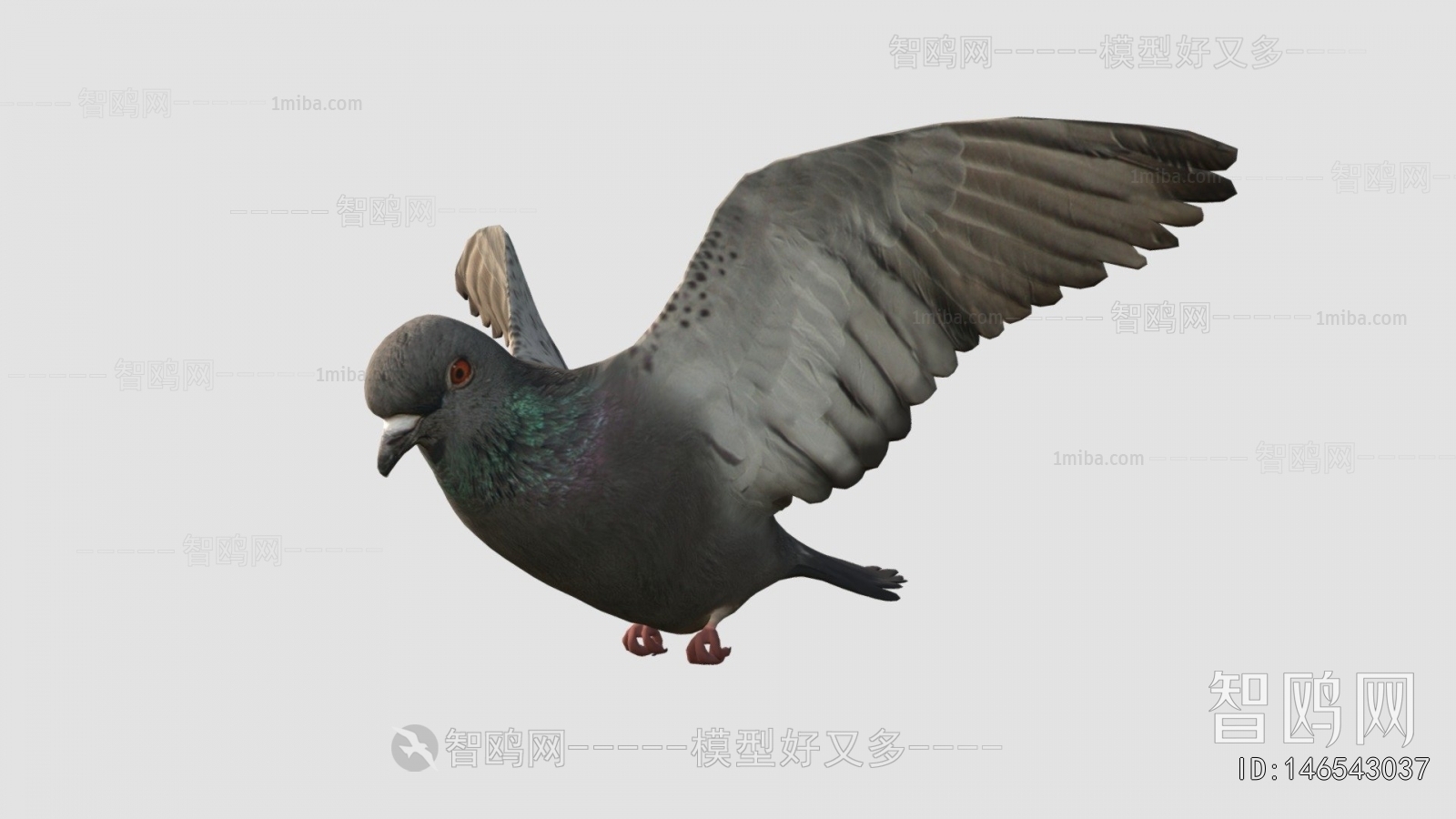 Modern Animal