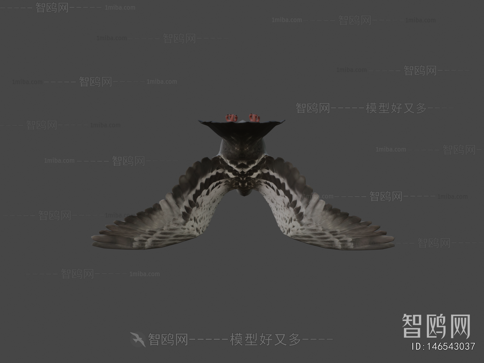 Modern Animal