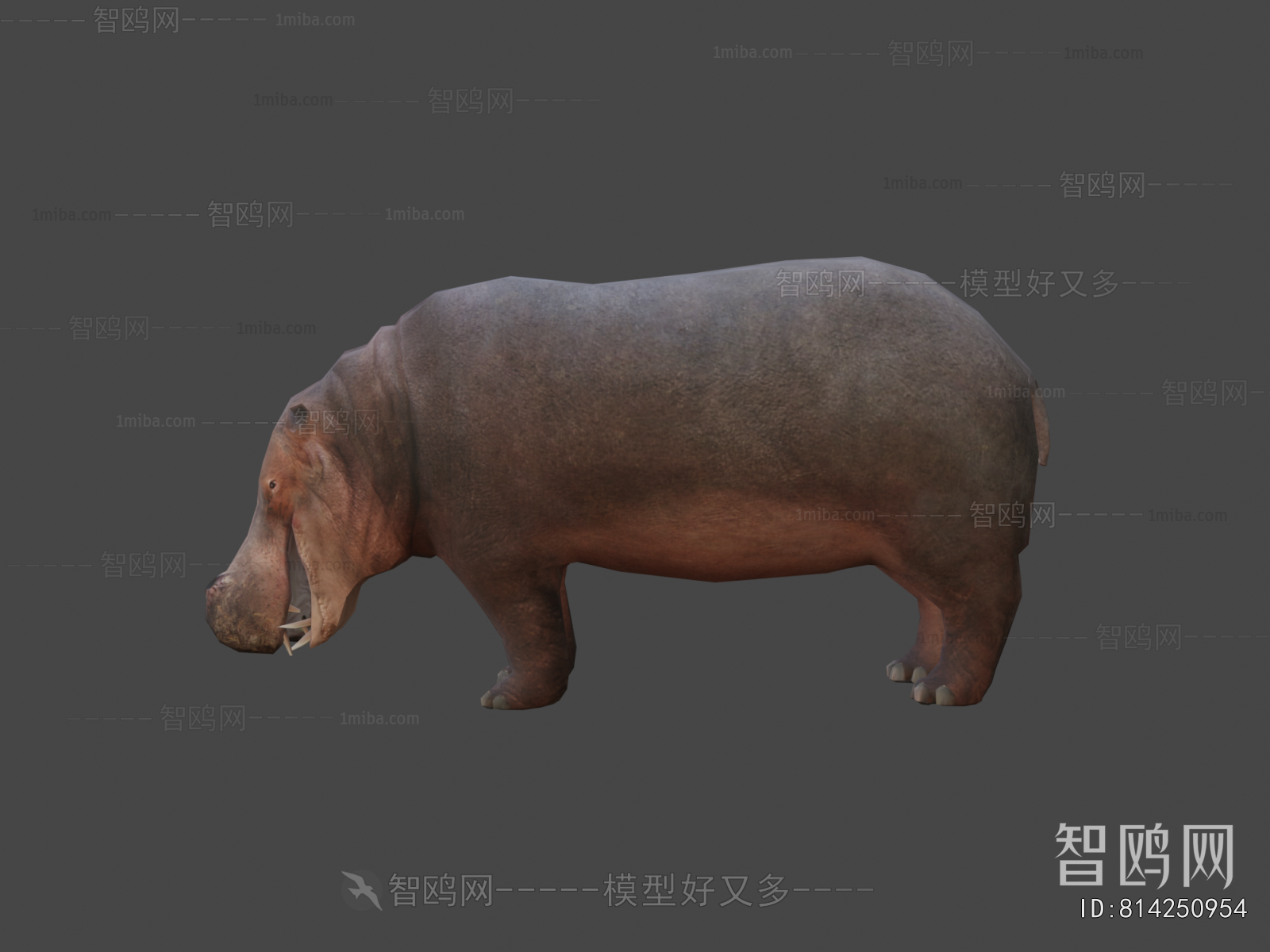 Modern Animal