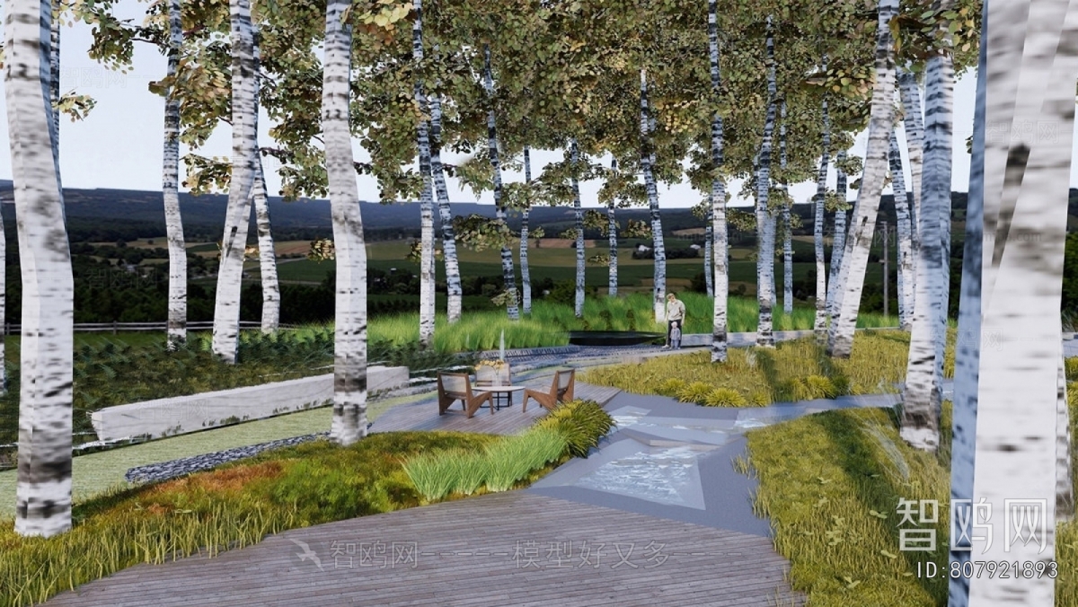 Modern Garden Landscape