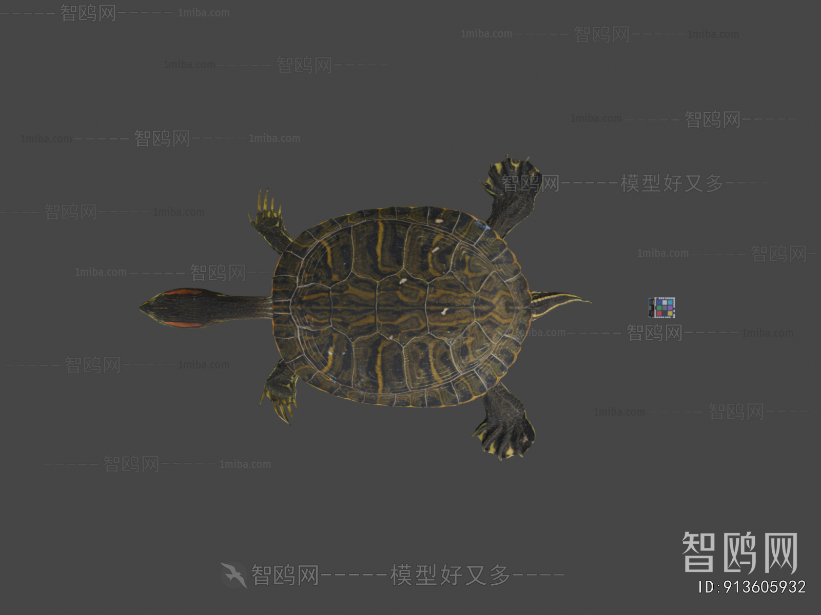 Modern Reptile
