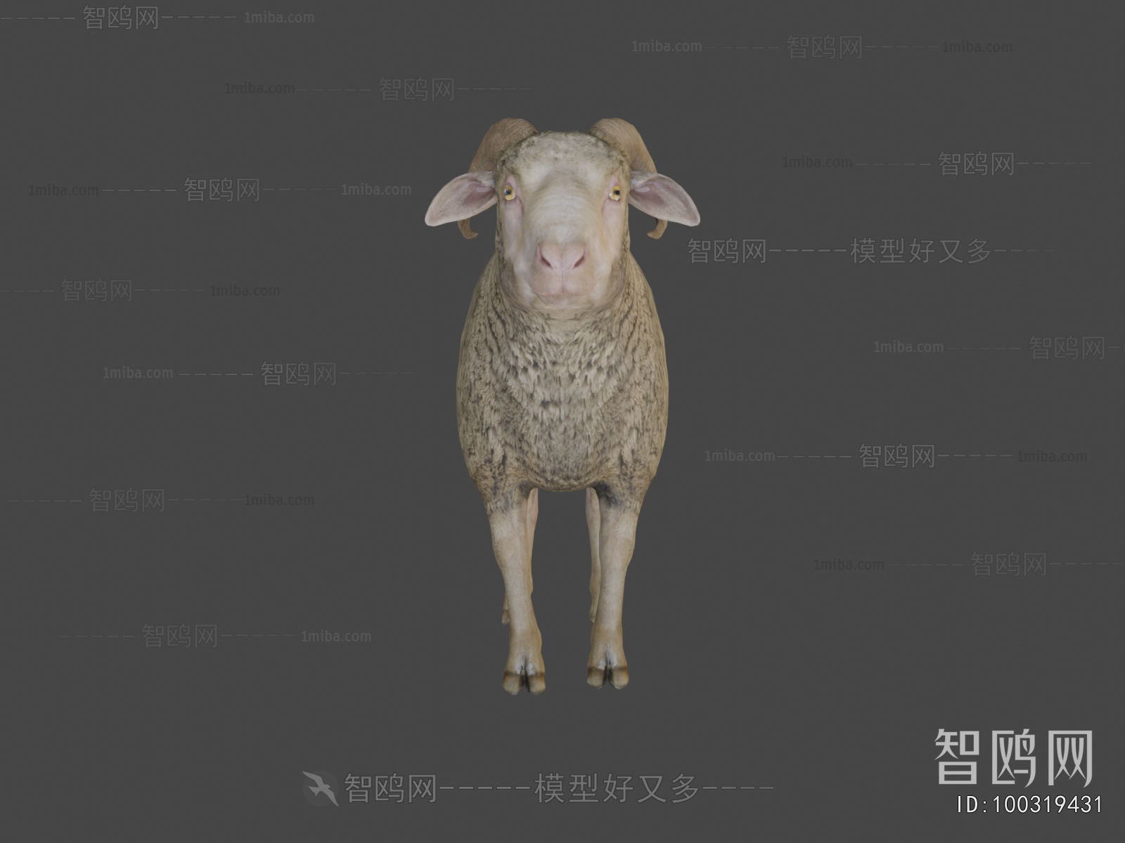 Modern Animal