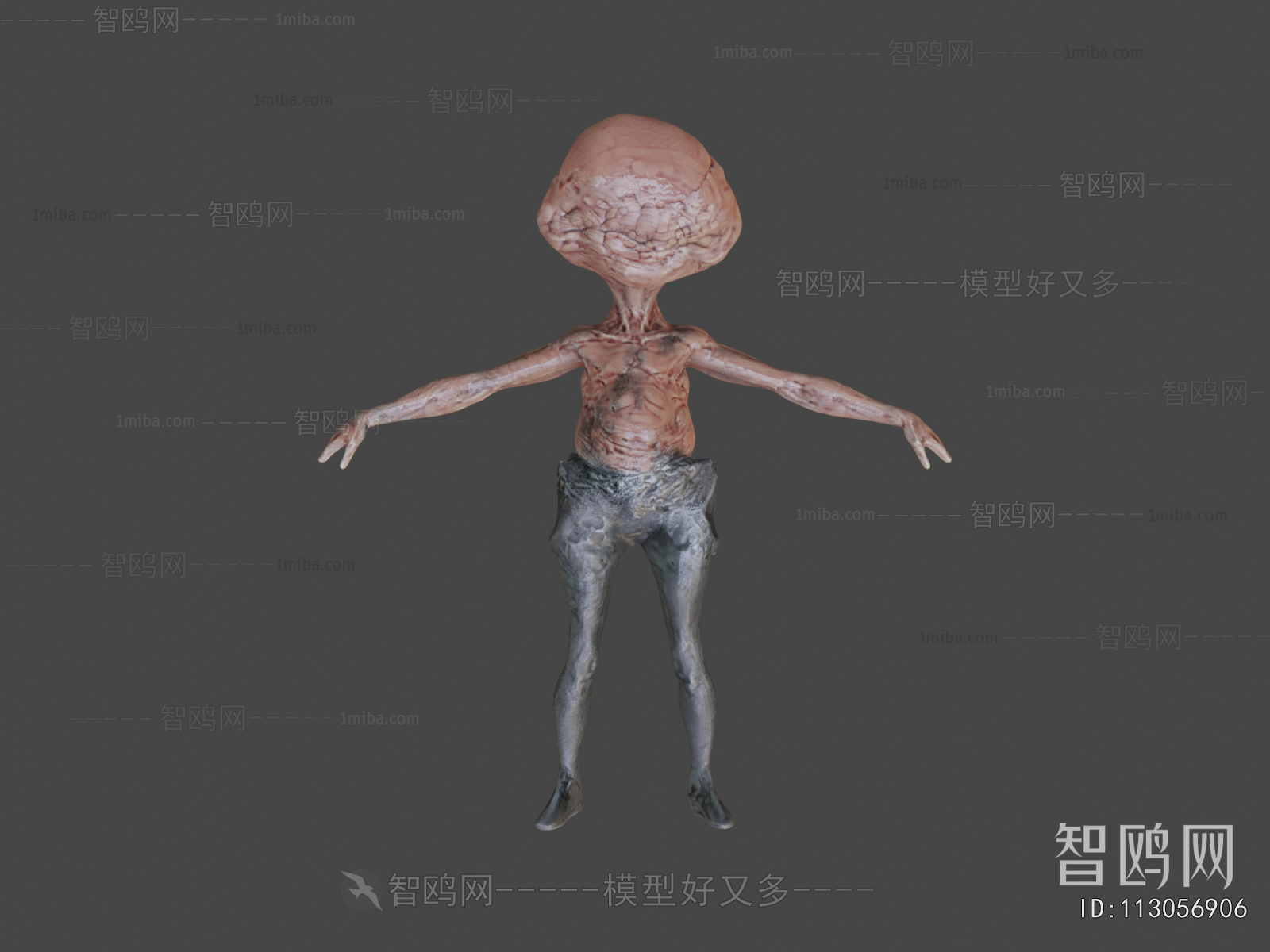 Modern Human