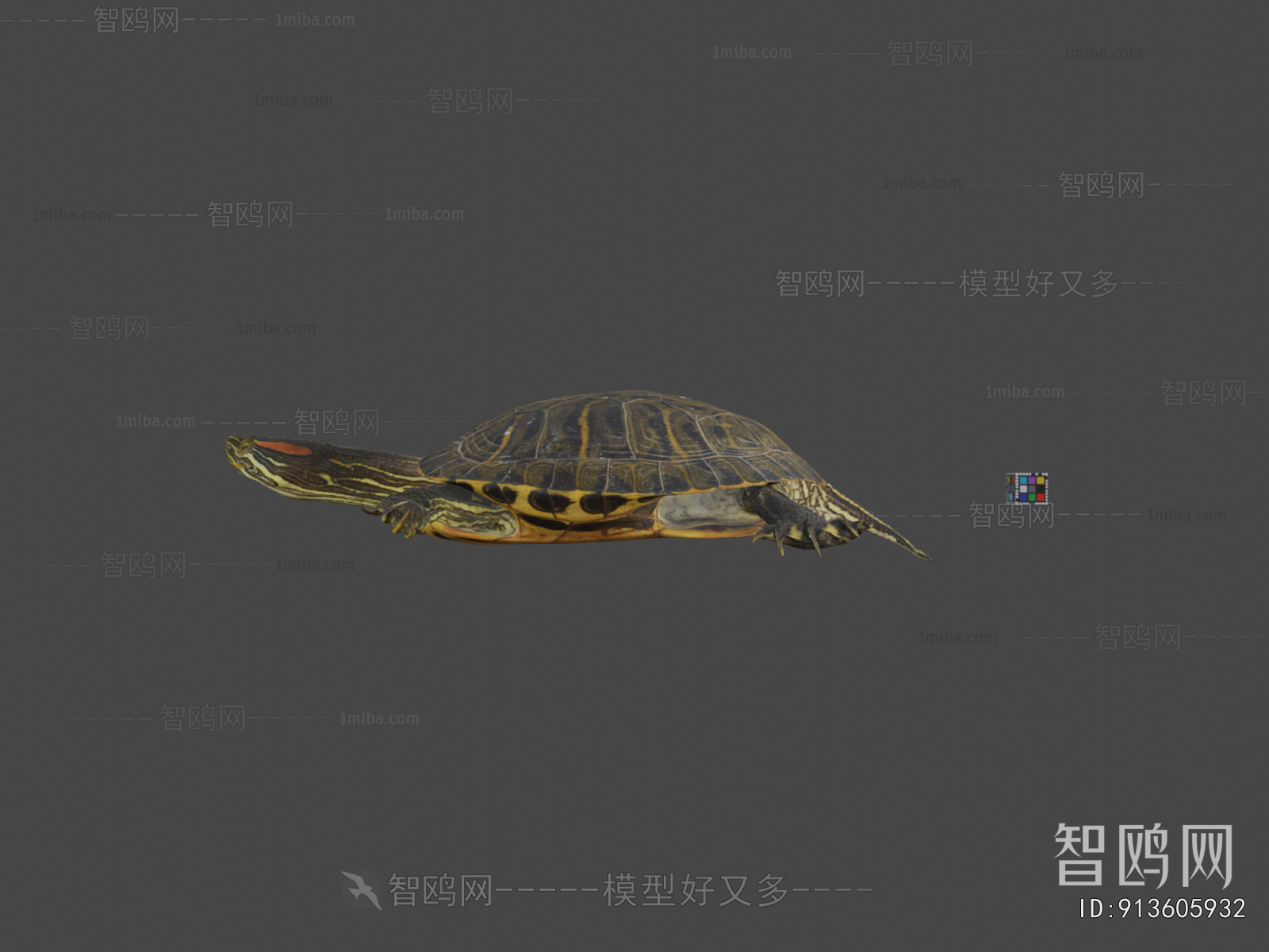Modern Reptile