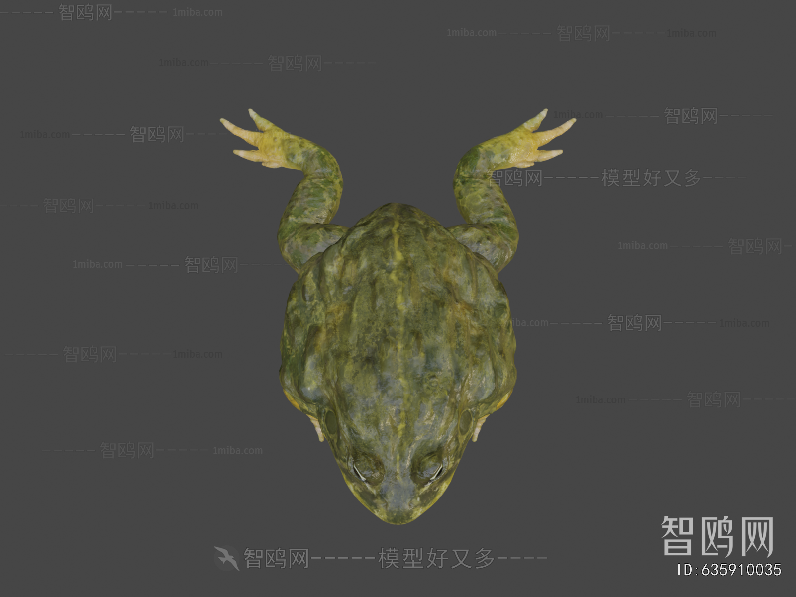 Modern Reptile