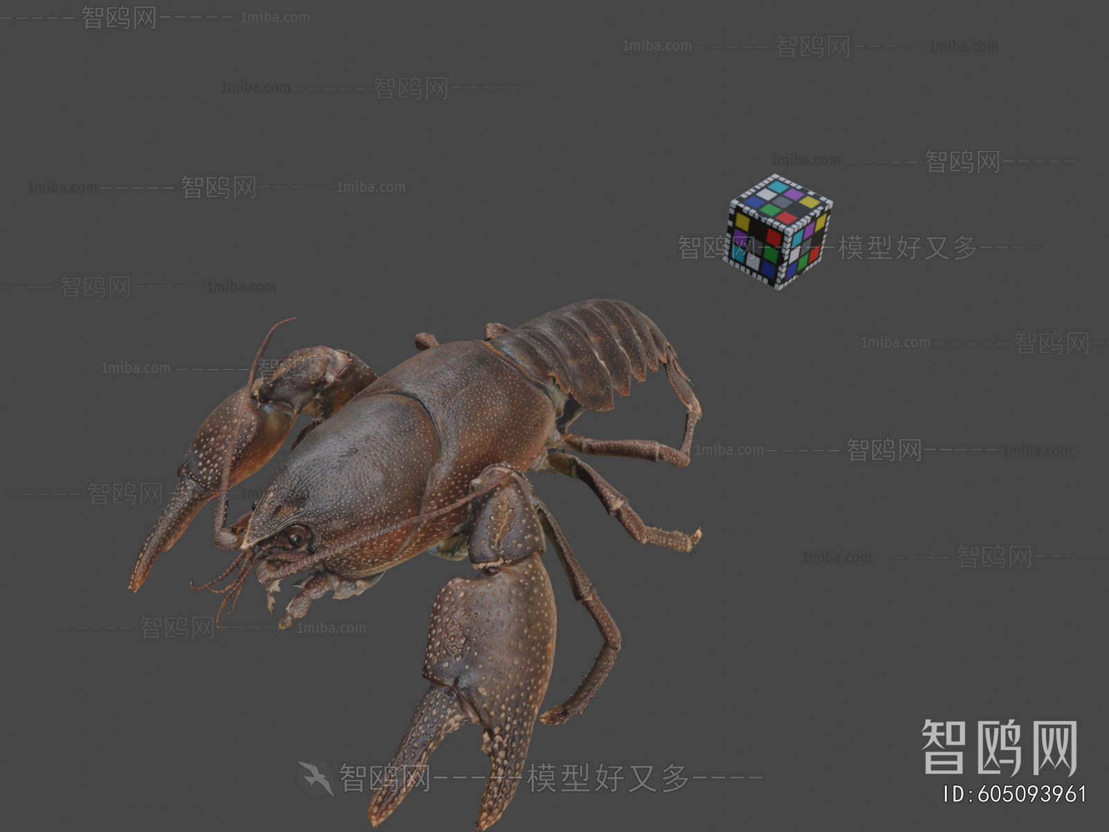 Modern Animal