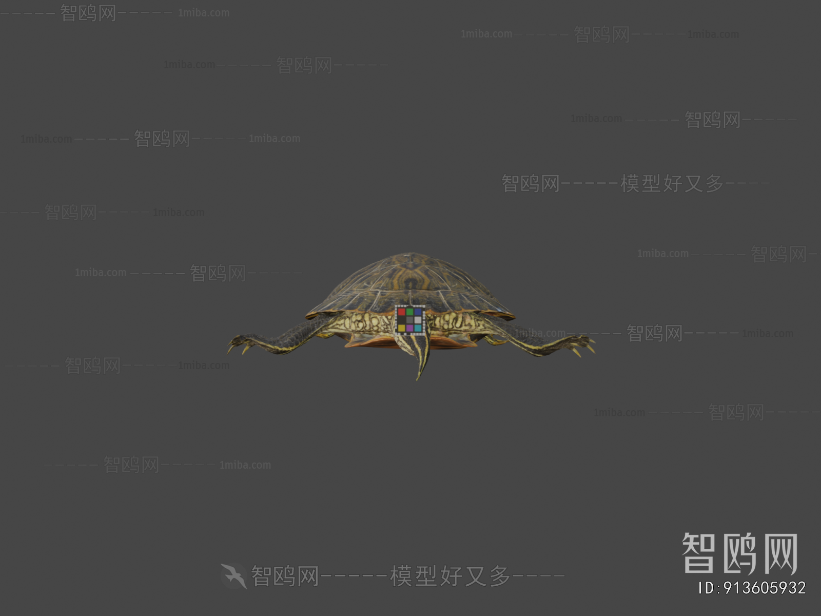 Modern Reptile