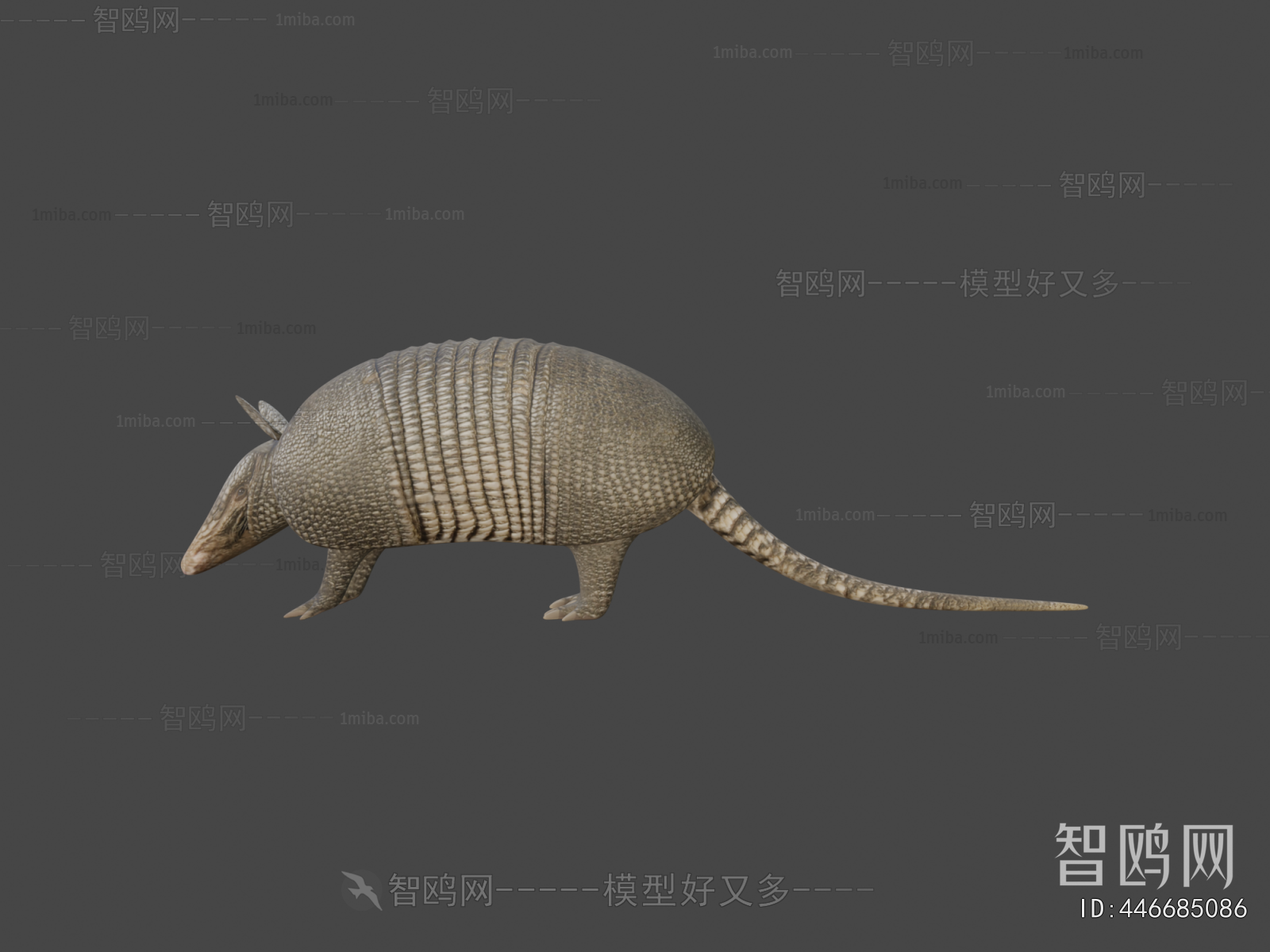 Modern Reptile