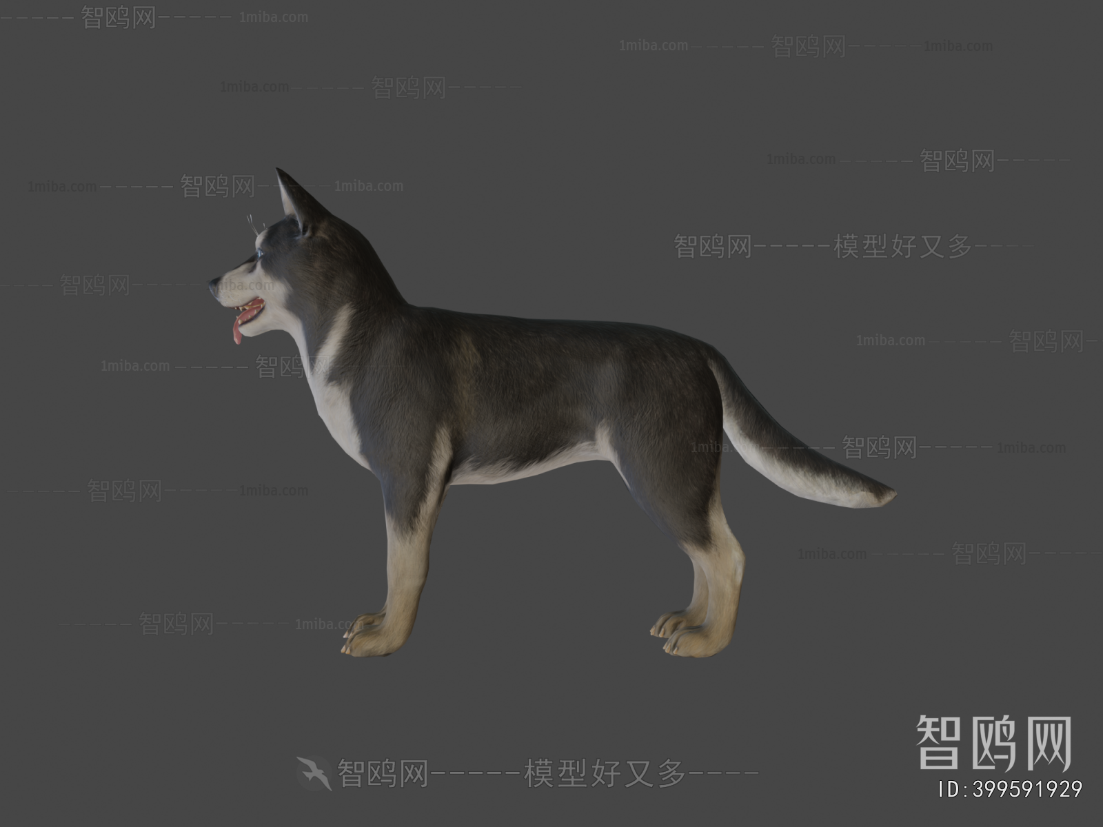 Modern Animal Dog