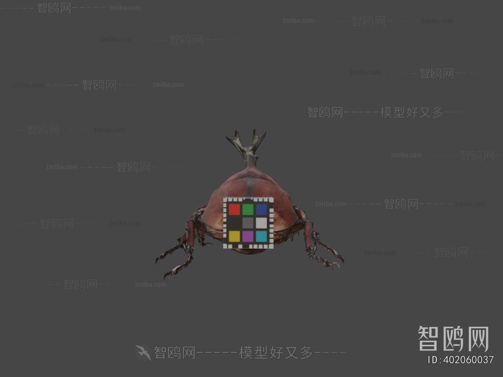 Modern Animal