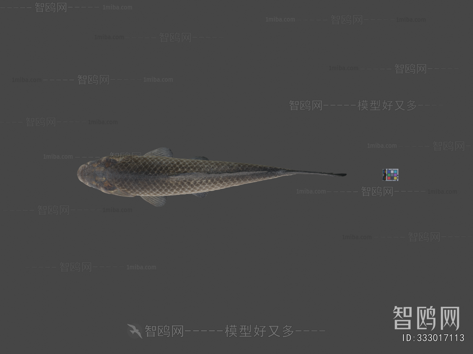 Modern Aquatic Animals