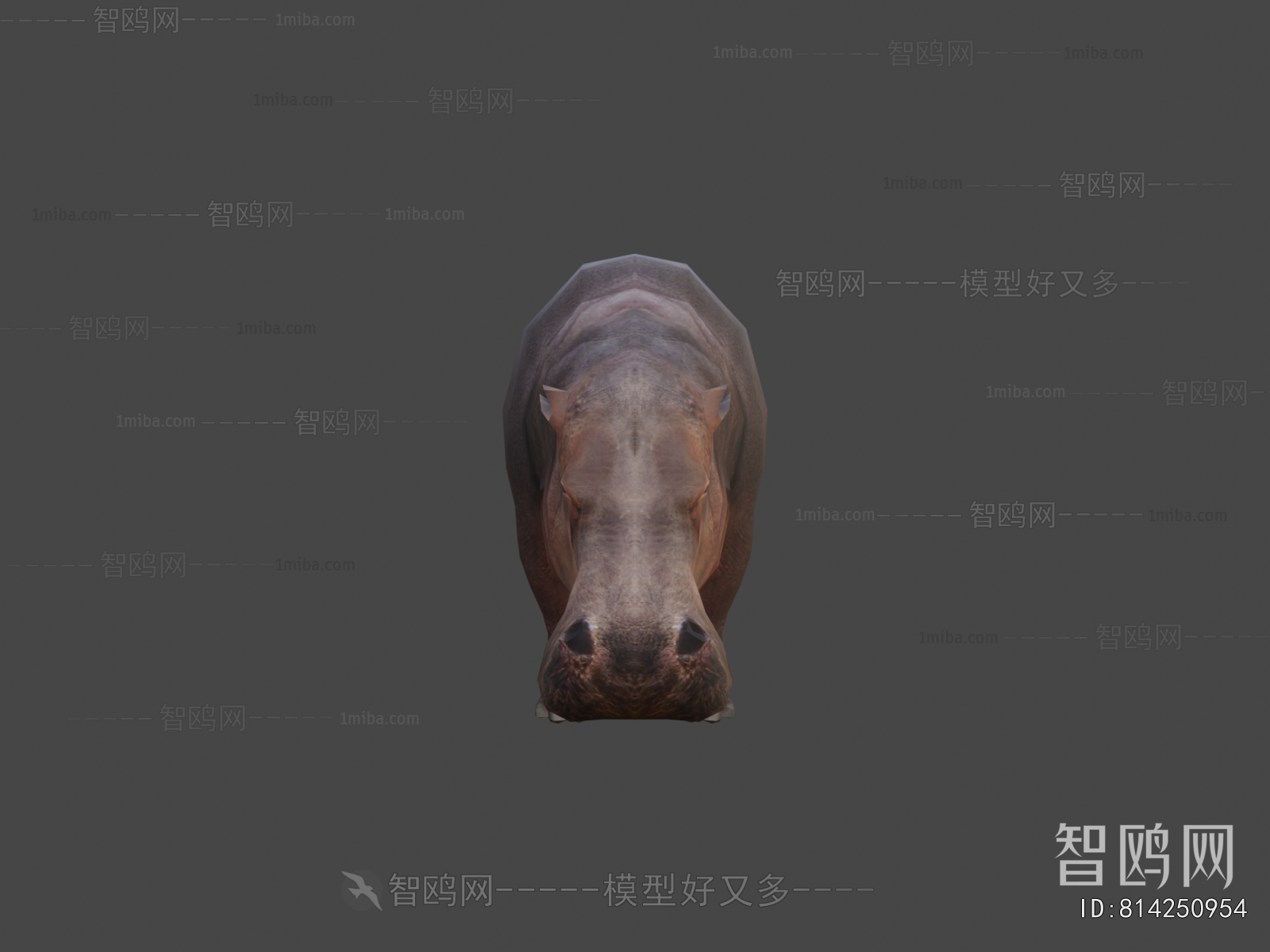 Modern Animal