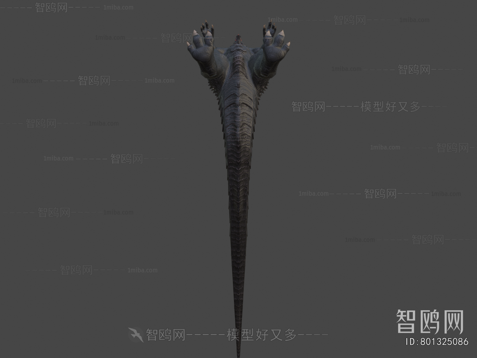 Modern Animal