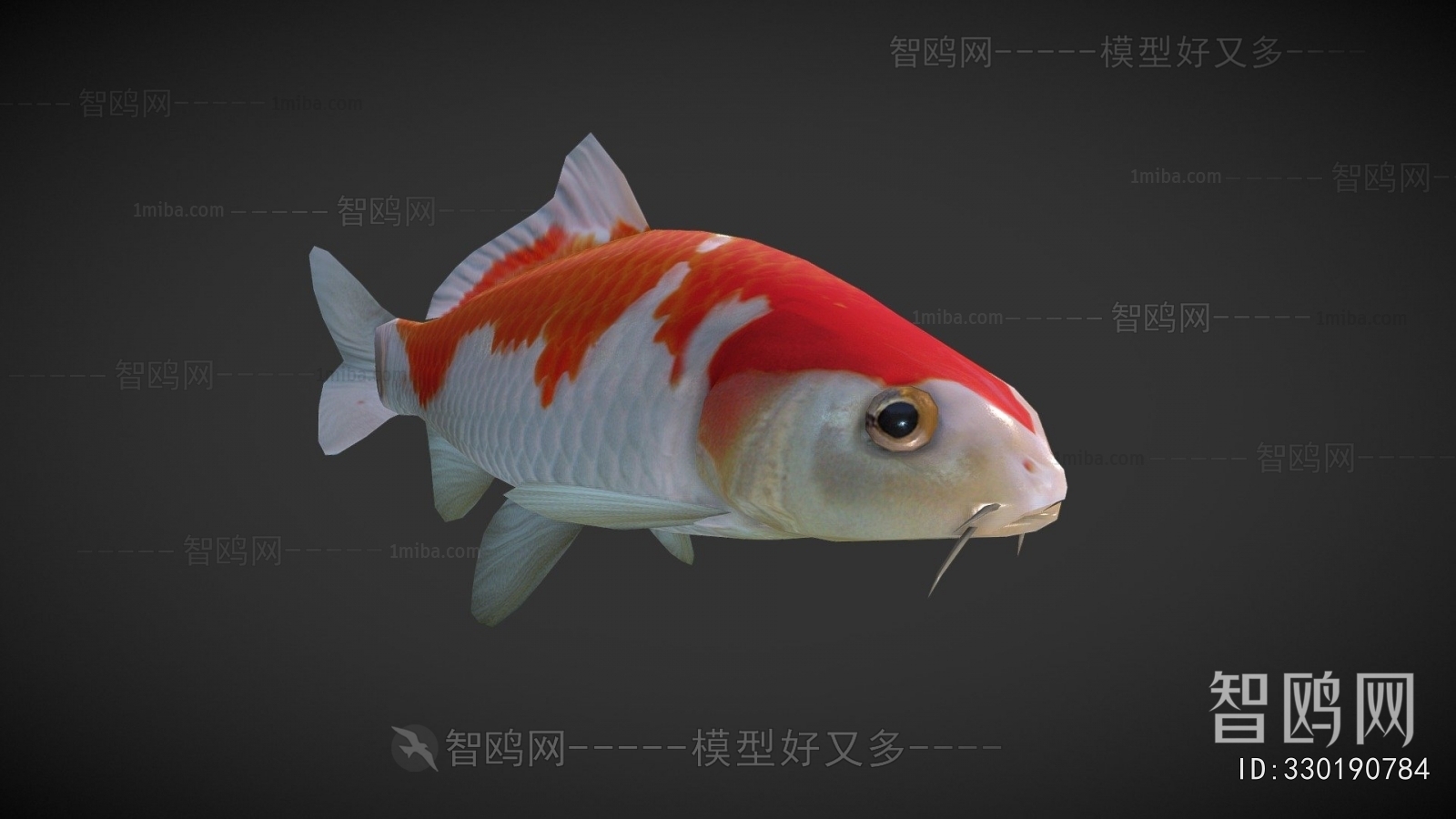Modern Aquatic Animals