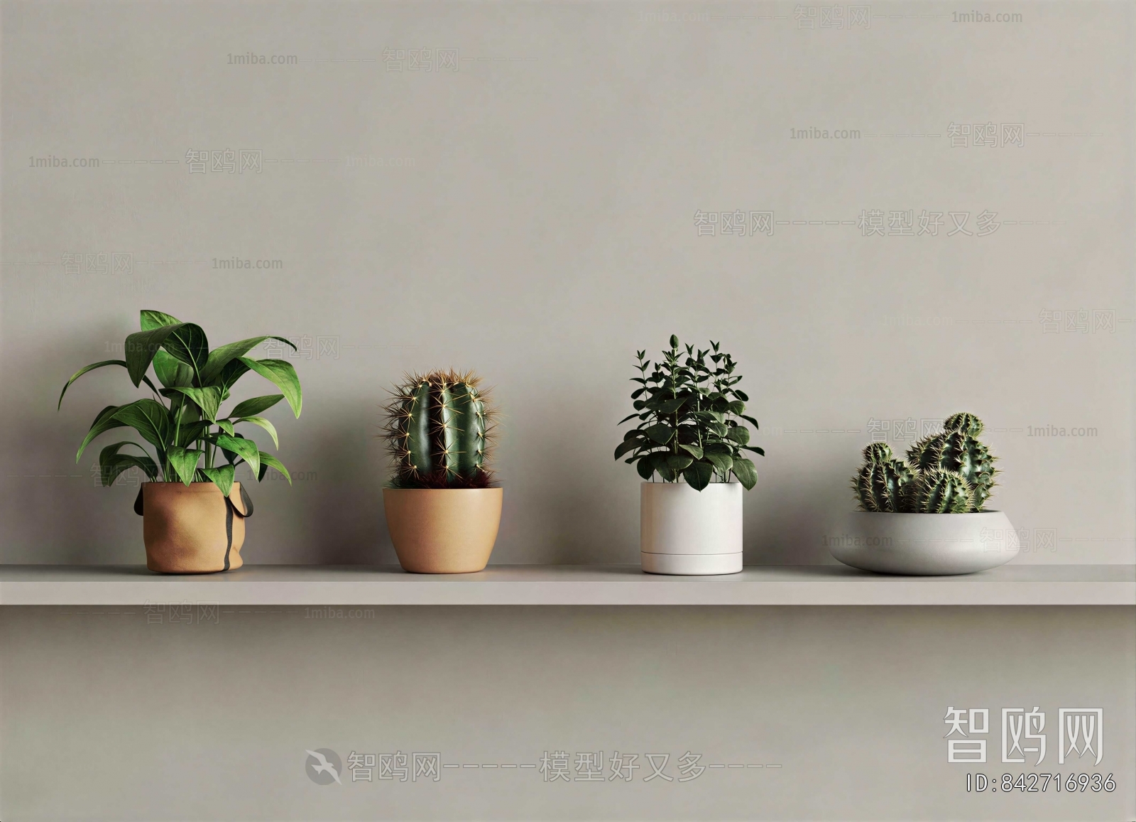 Modern Potted Green Plant