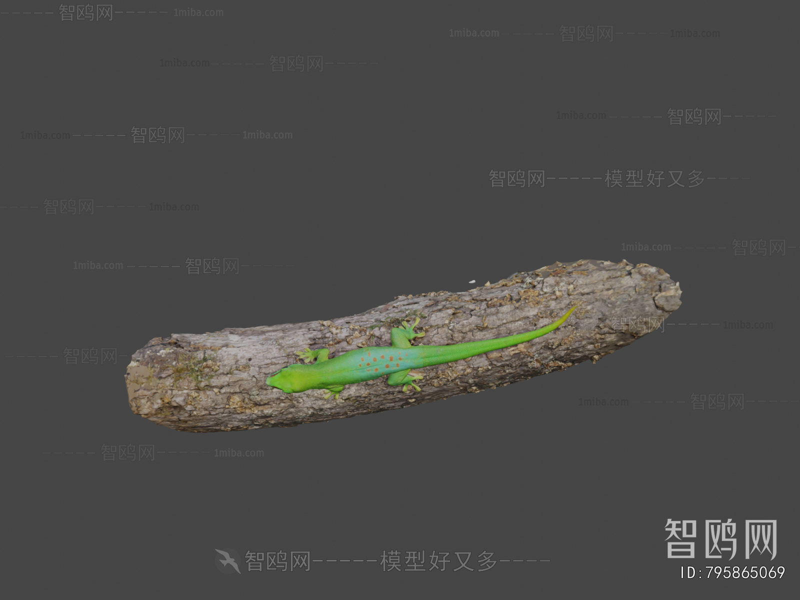 Modern Reptile