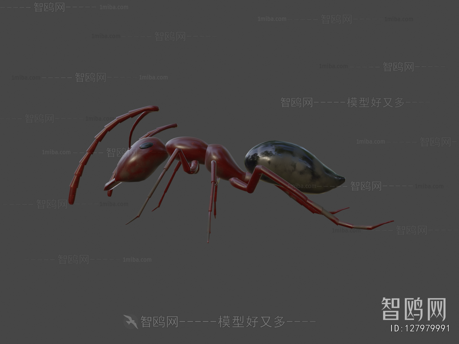 Modern Animal
