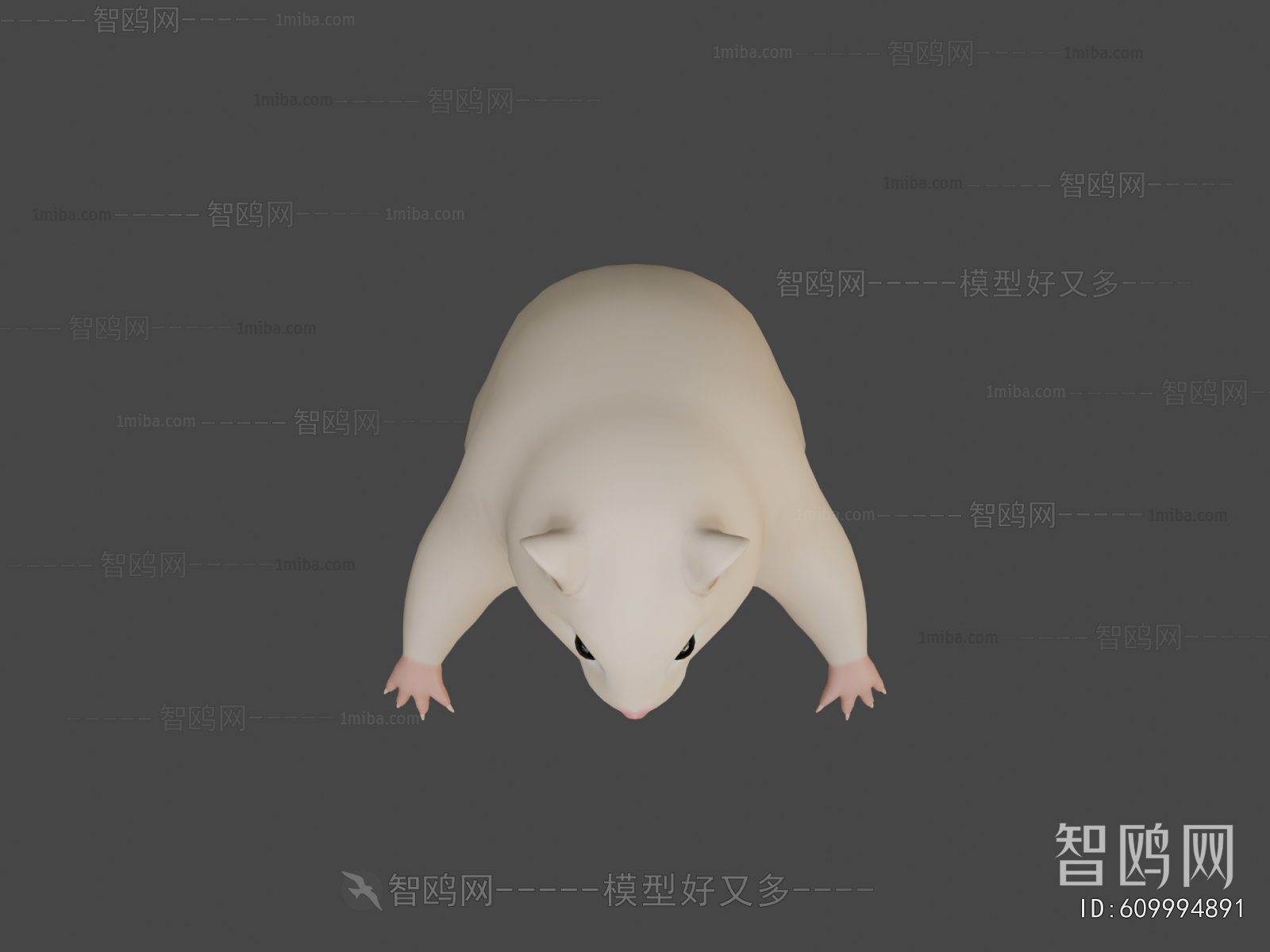 Modern Animal