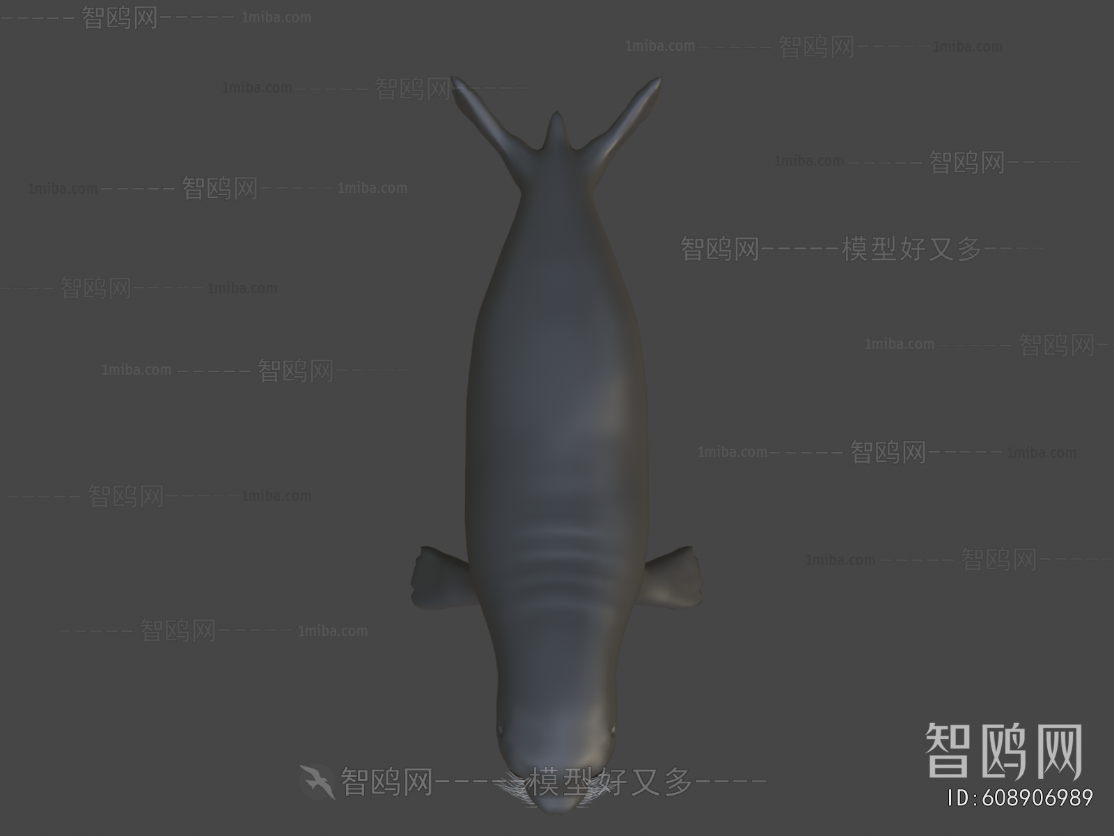 Modern Aquatic Animals