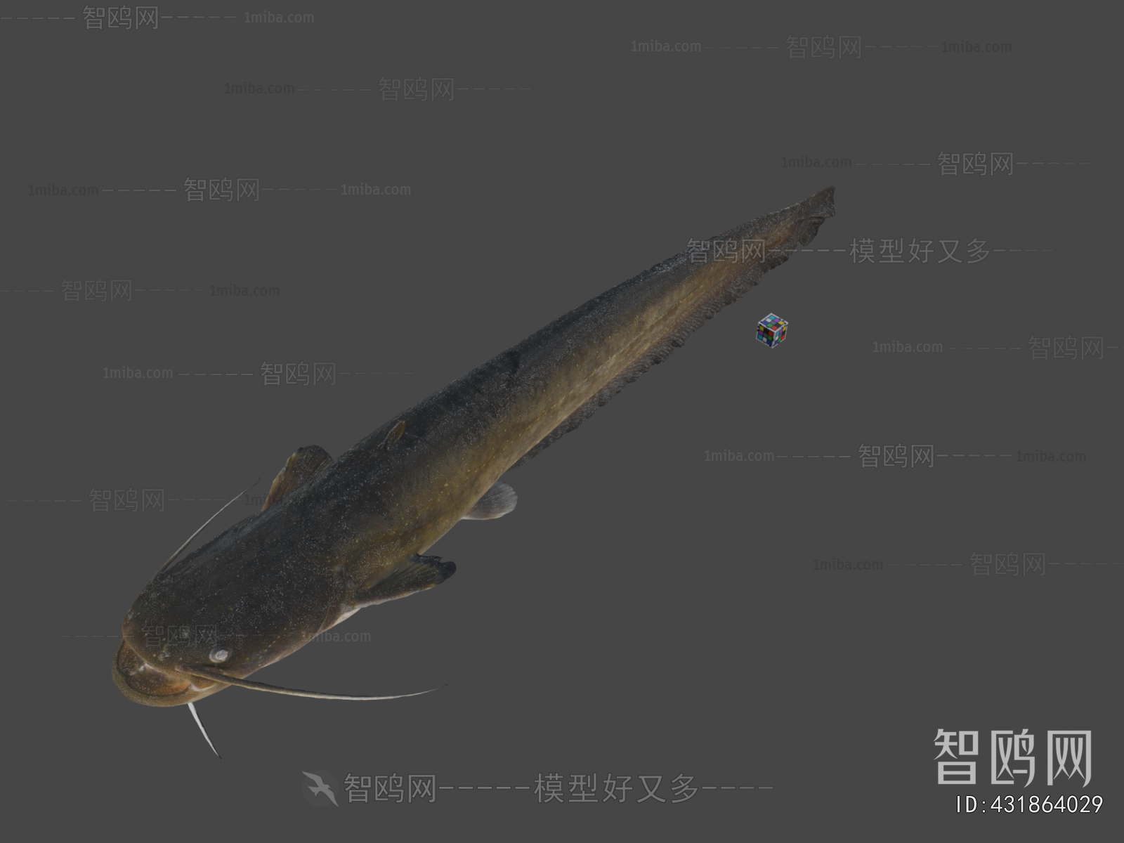 Modern Animal