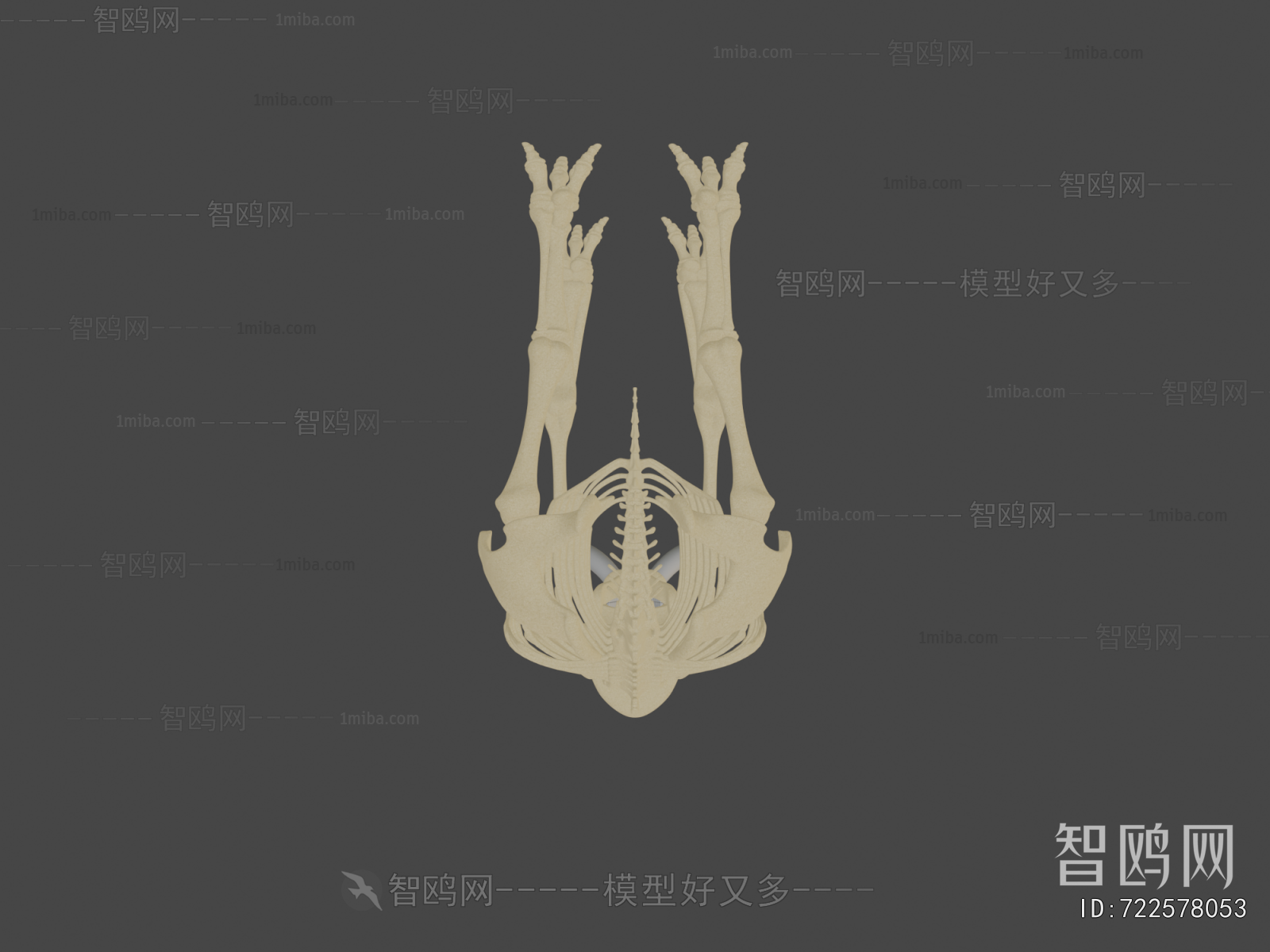 Modern Medical Equipment