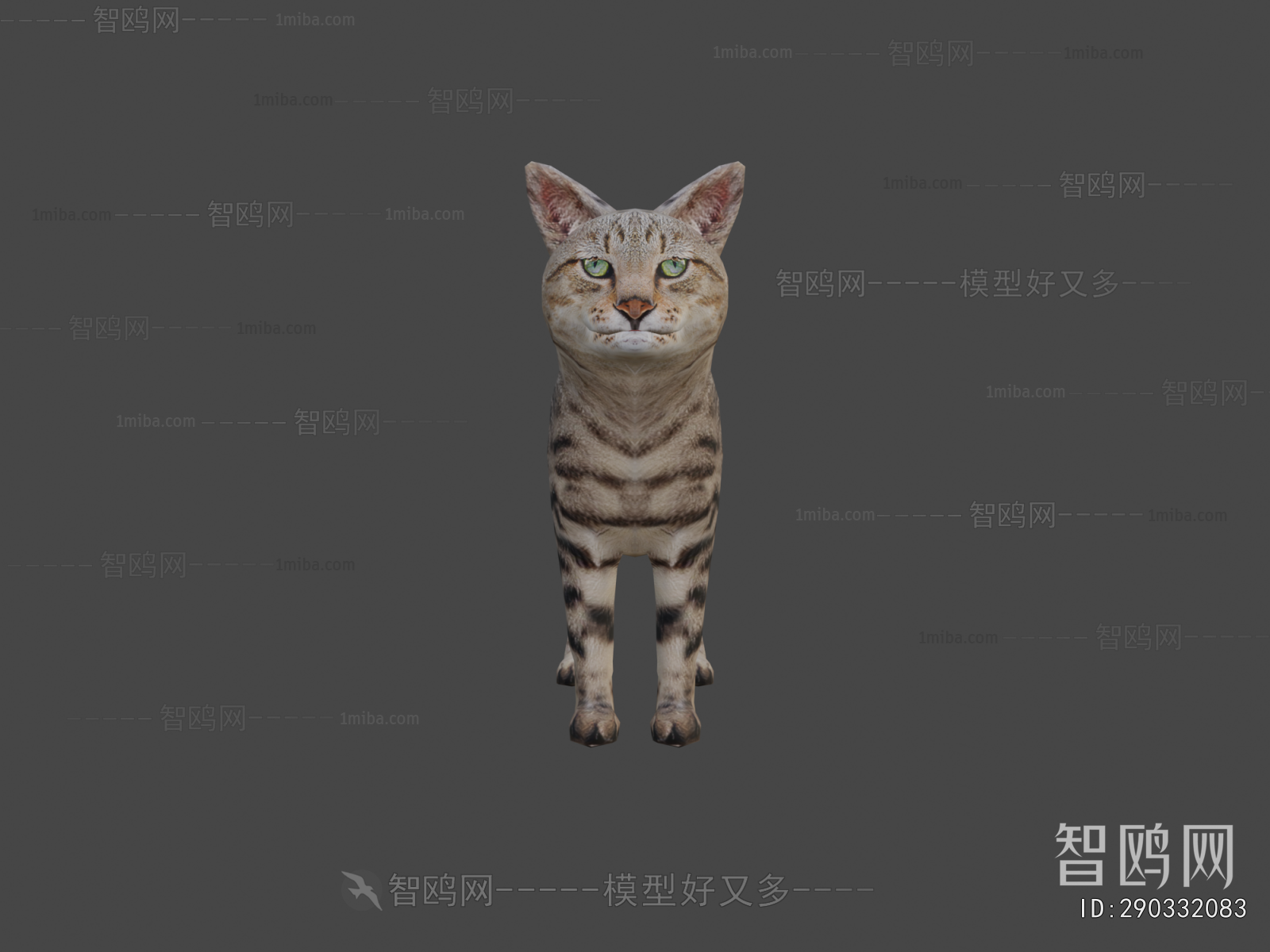 Modern Animal Cat
