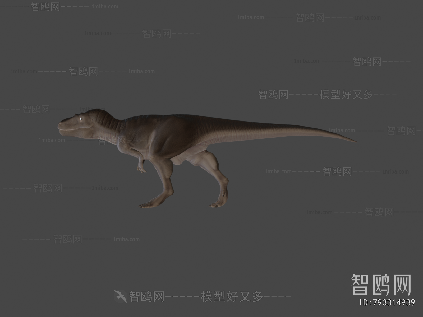 Modern Animal