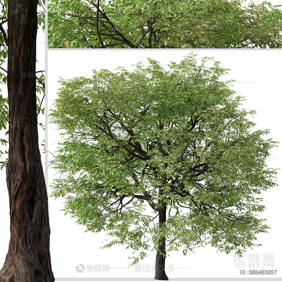 Modern Tree