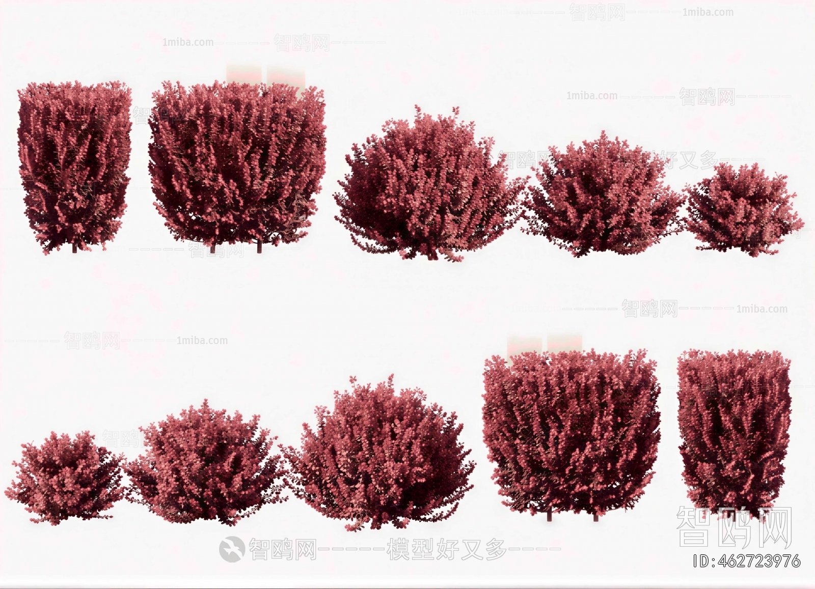 Modern Shrubbery