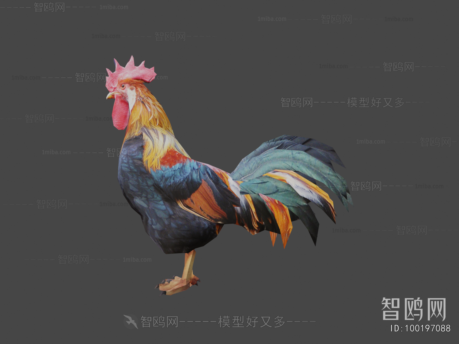Modern Poultry Animal