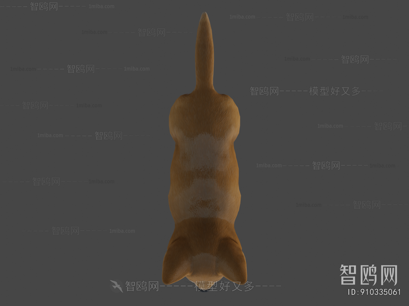 Modern Animal Dog