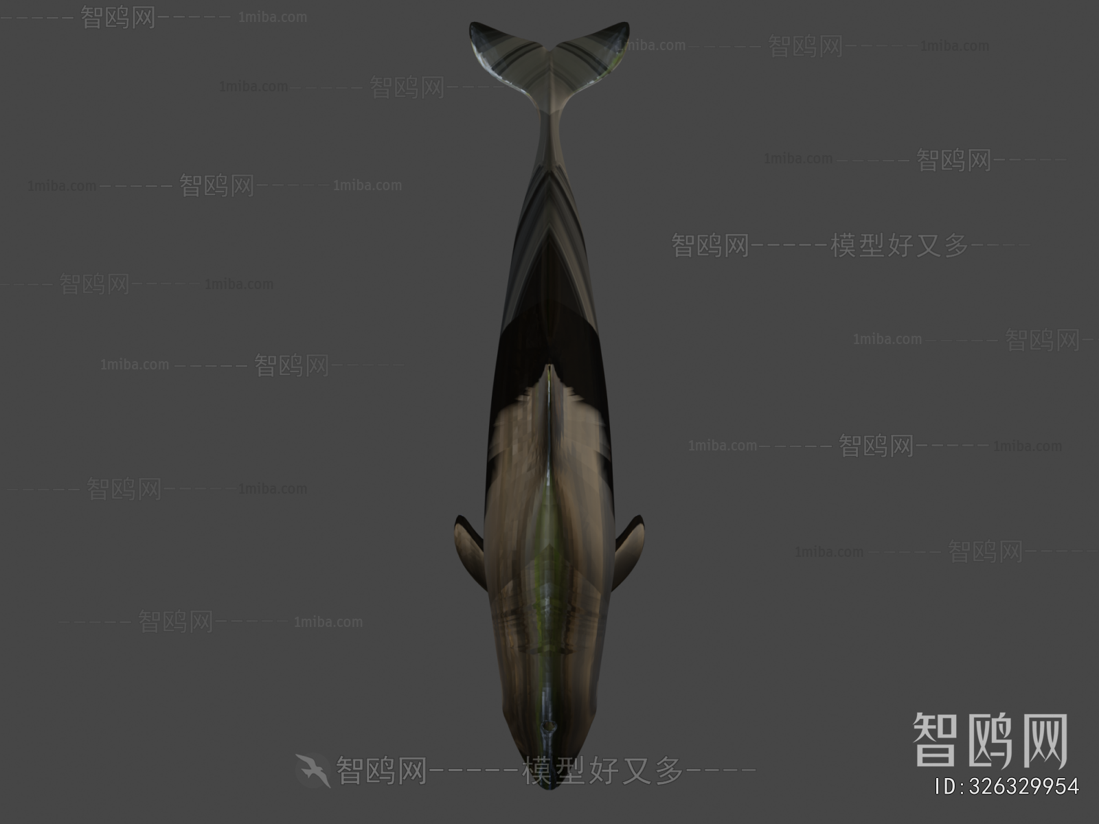 Modern Animal