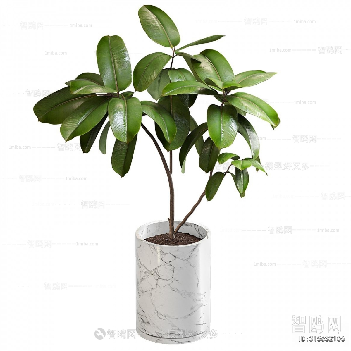 Modern Ground Green Plant Potted Plants