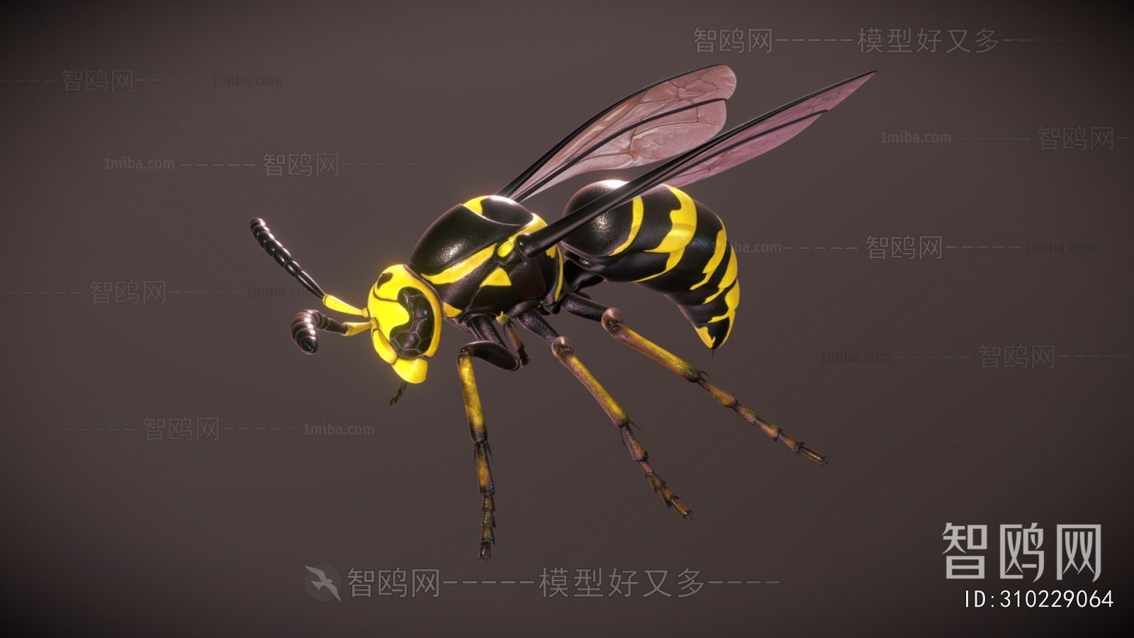 Modern Animal