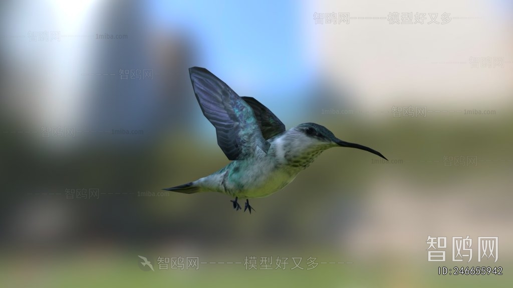Modern Animal