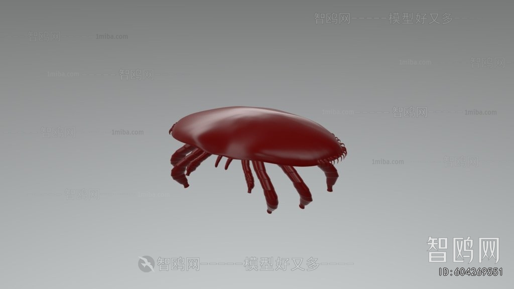 Modern Animal