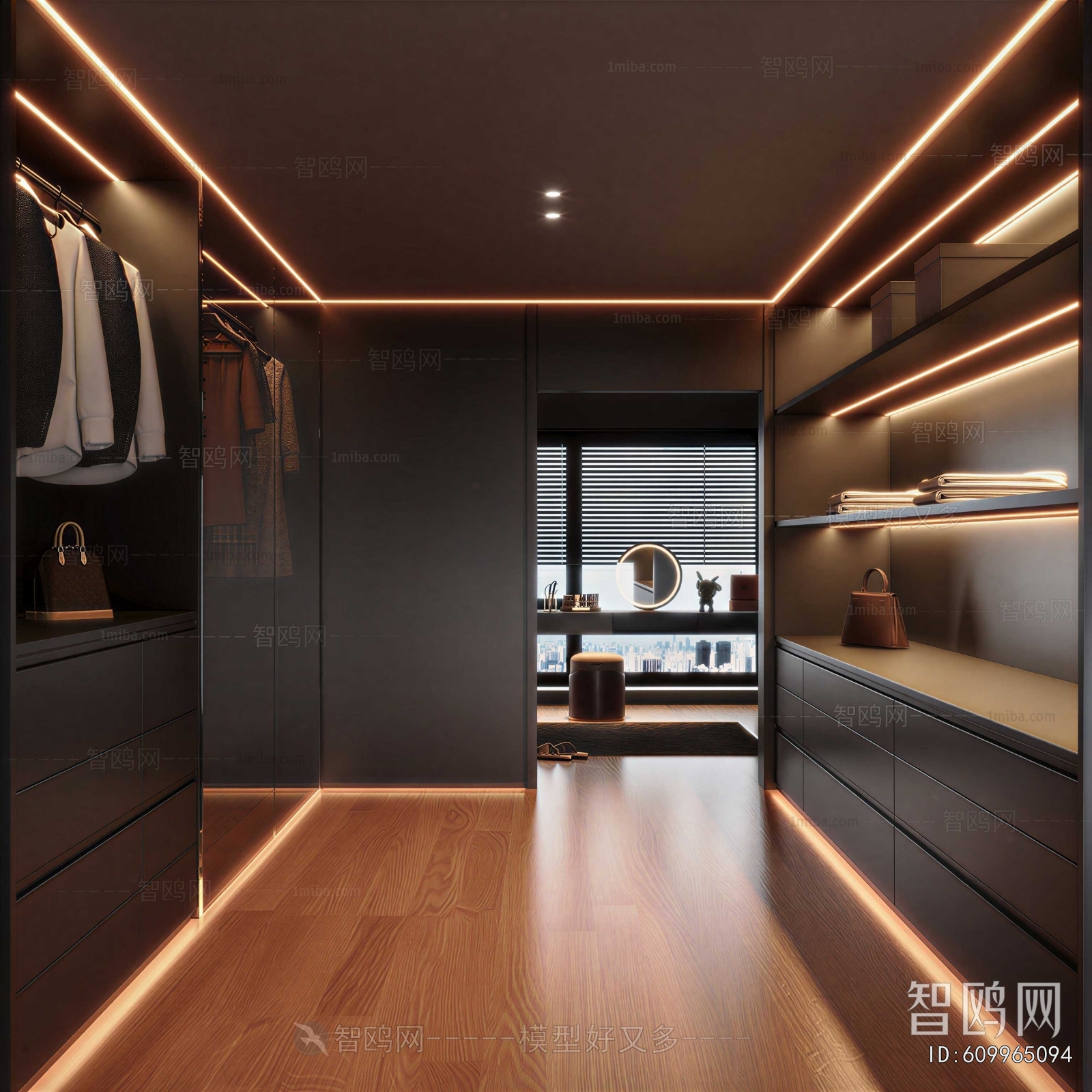 Modern Clothes Storage Area