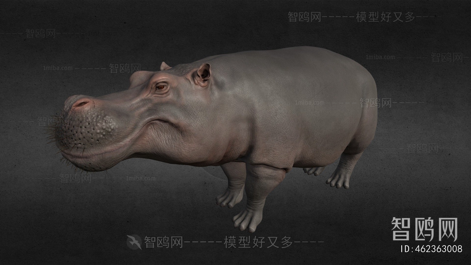 Modern Animal