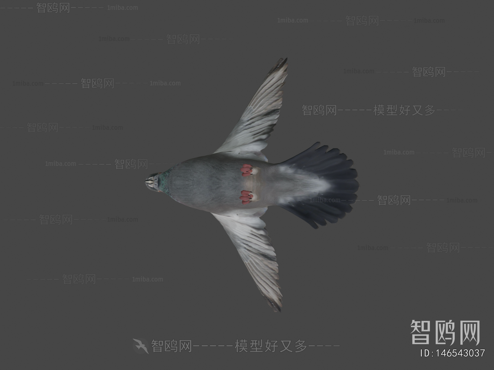 Modern Animal