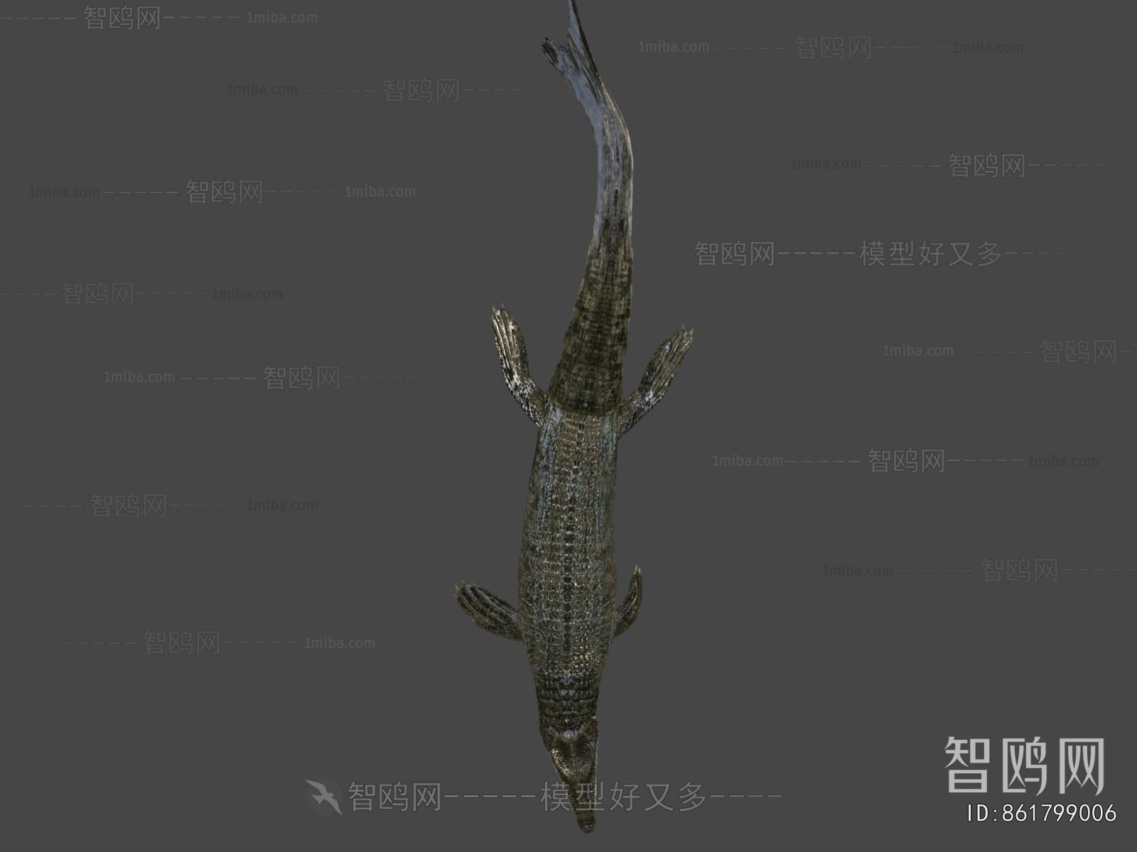 Modern Animal