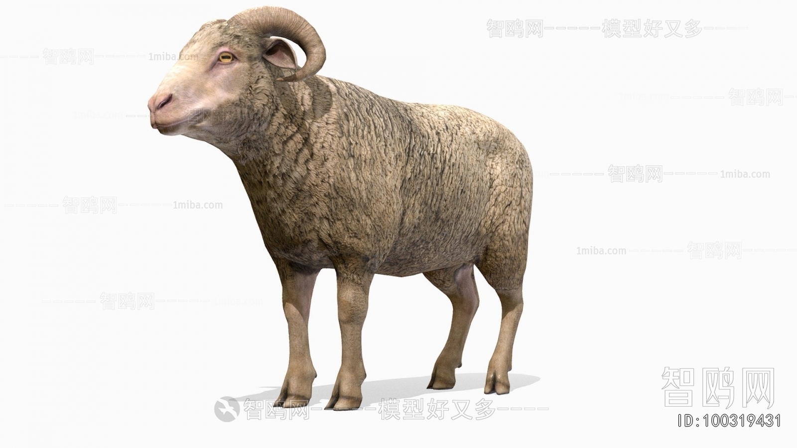 Modern Animal
