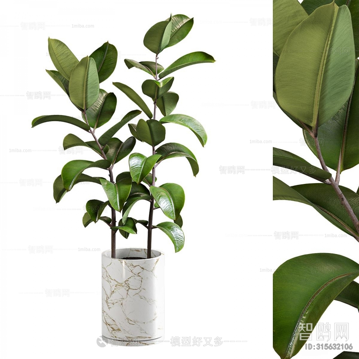 Modern Ground Green Plant Potted Plants