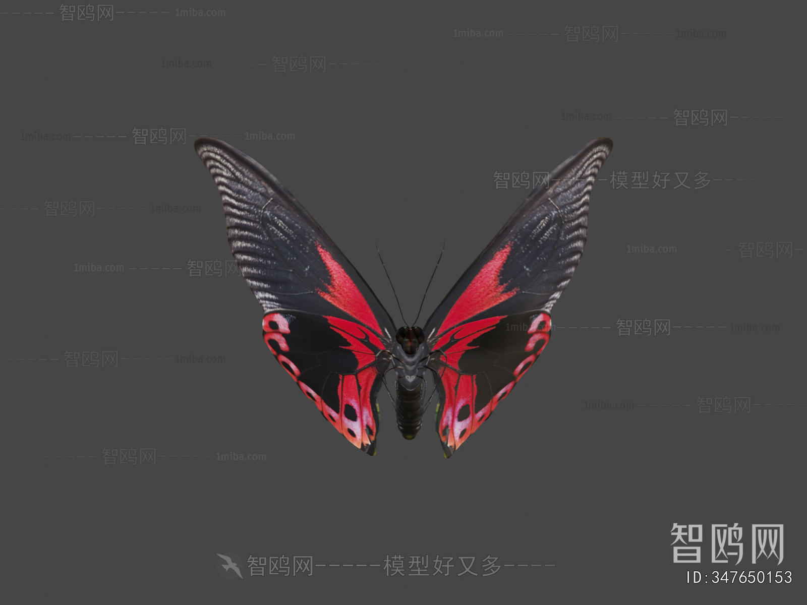 Modern Animal