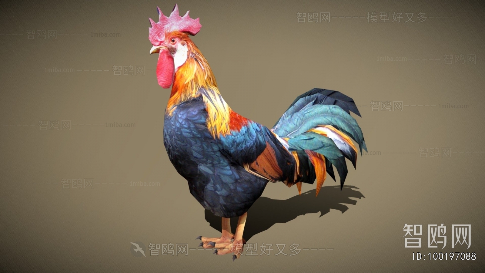 Modern Poultry Animal