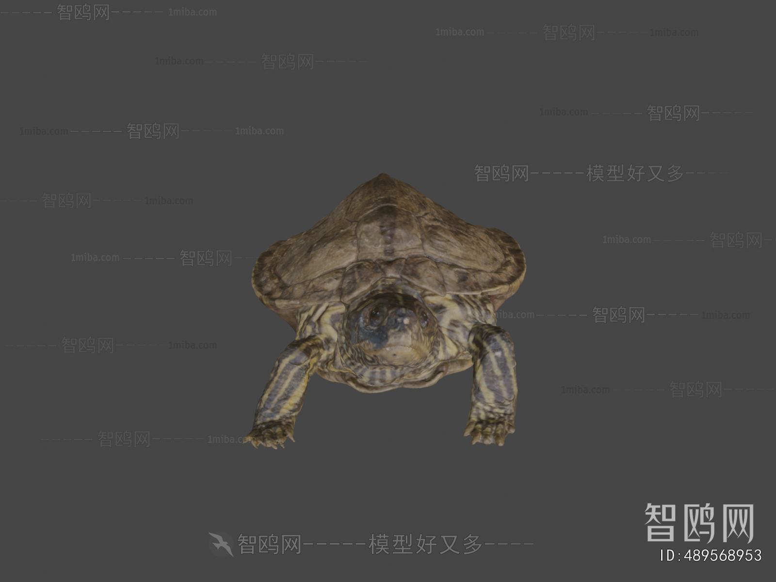 Modern Animal