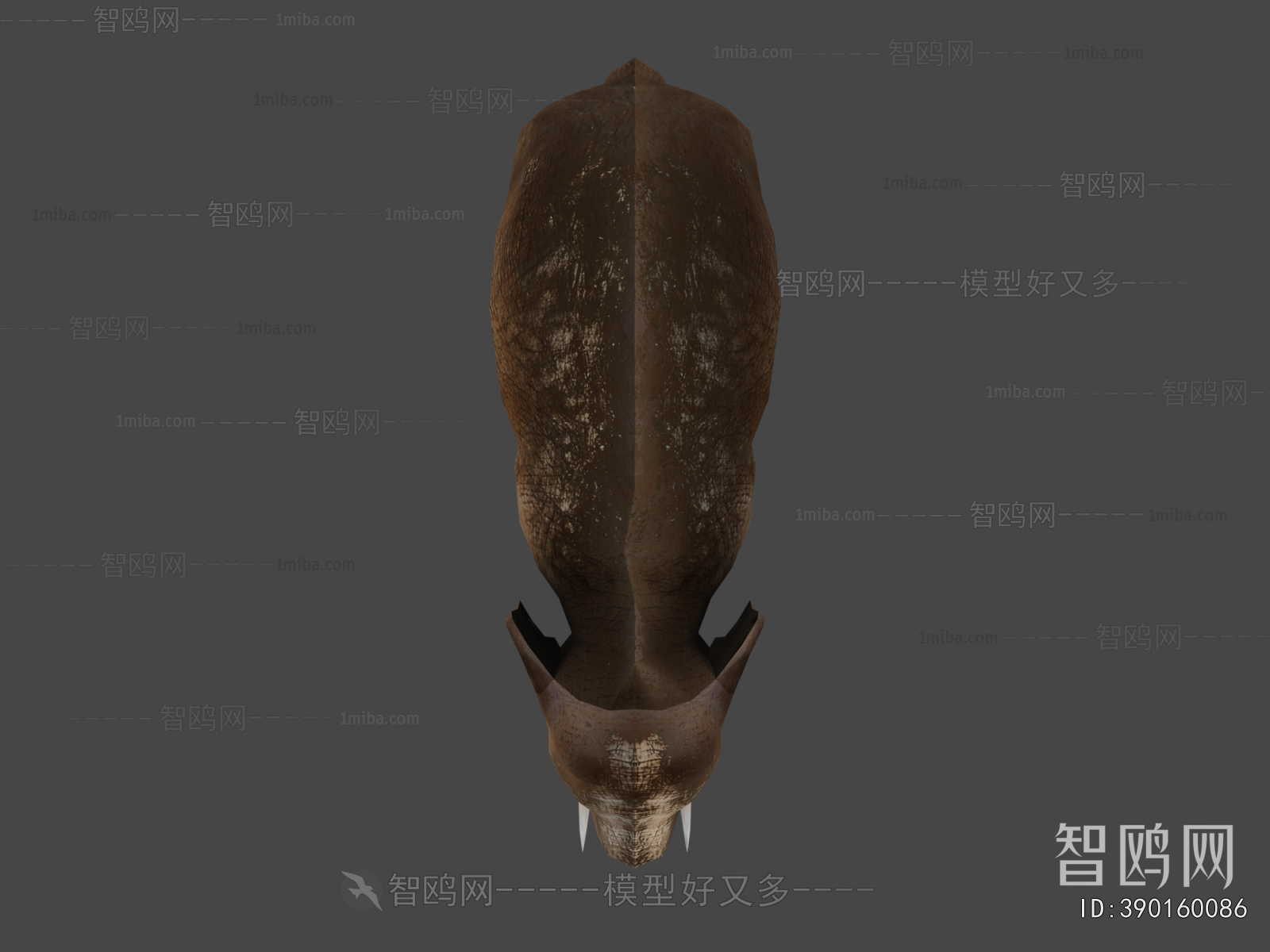 Modern Mammal