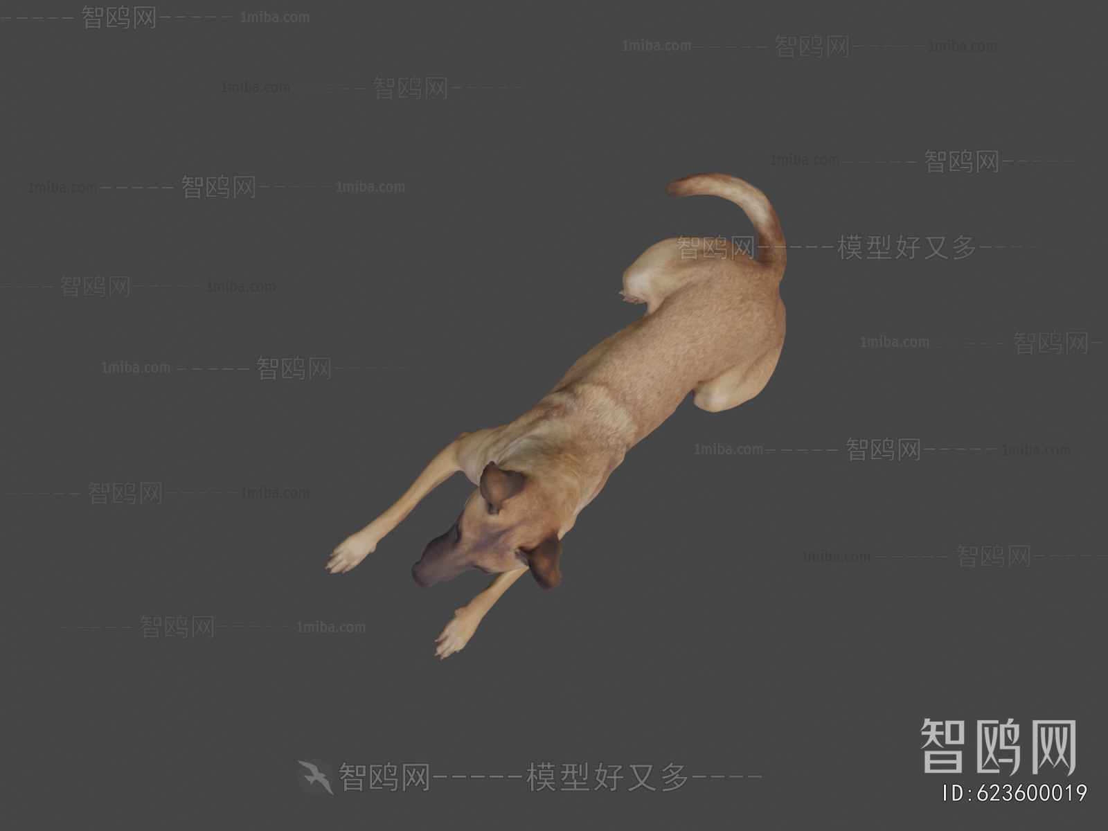 Modern Animal